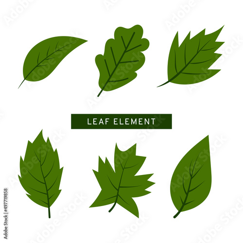 set of green leaves