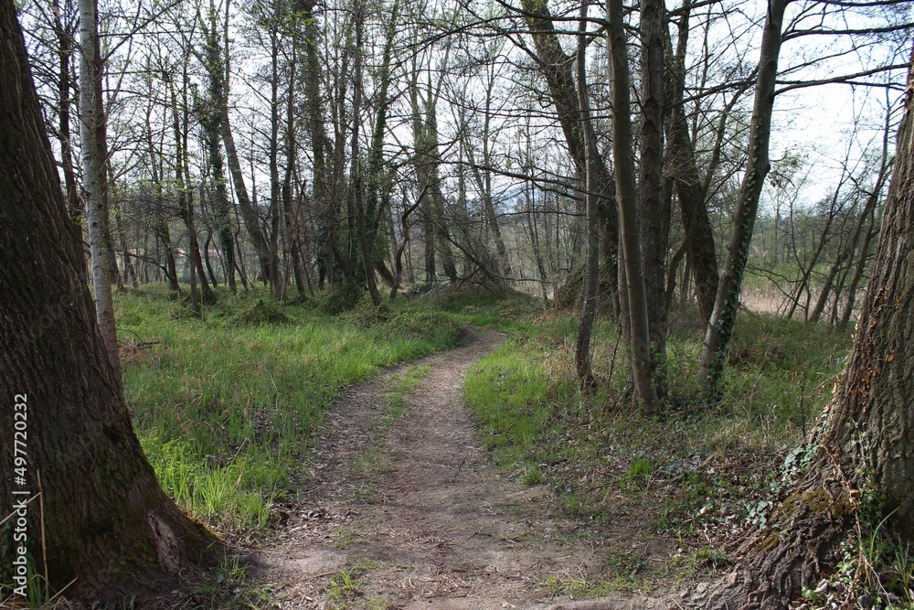 Obraz premium Sentiero