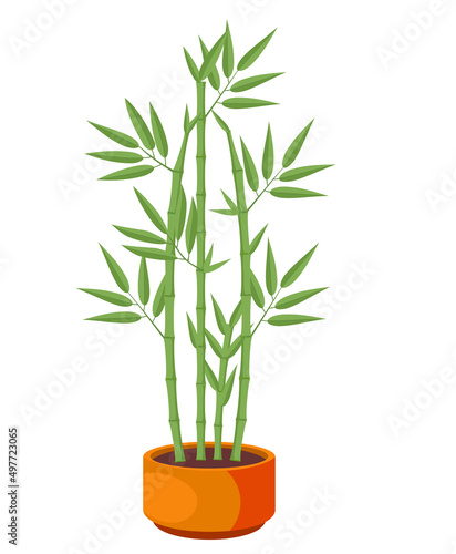 Vector Illustration of isolated bamboo in pot on white background. For flower shop banner, poster. Elements for design house, room or office interior. Bamboo lucky plant in pot, Chinese tree sprouts
