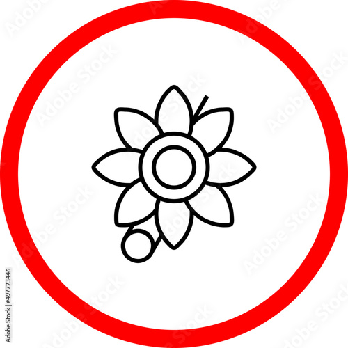 Brooch Icon