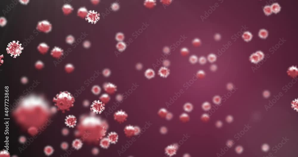 Animation of virus cells over red background Animation of virus cells over red background