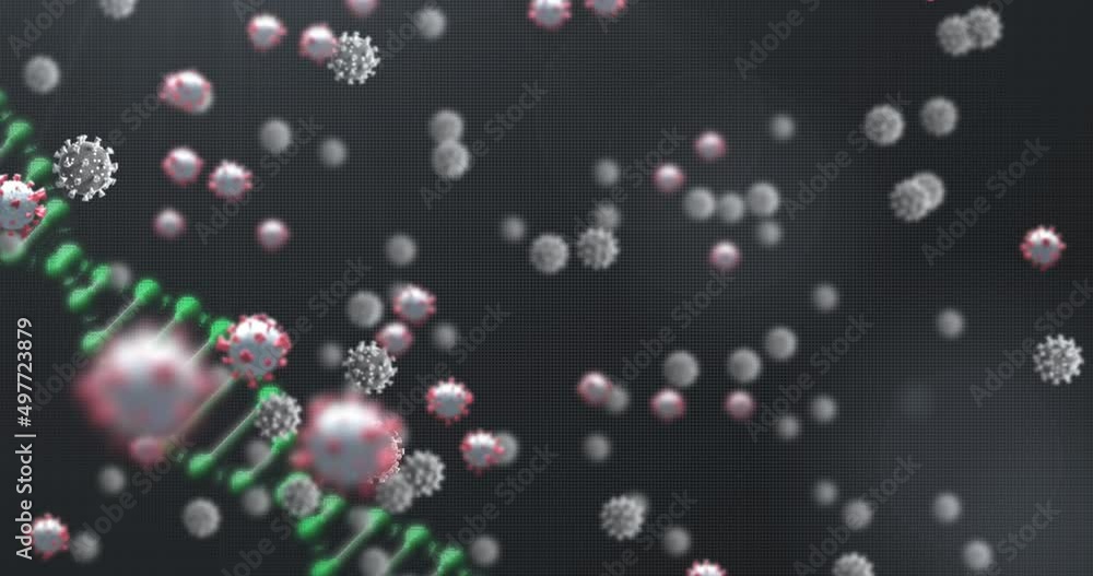 Animation of virus cells over dna and black background Animation of virus cells over dna and black background