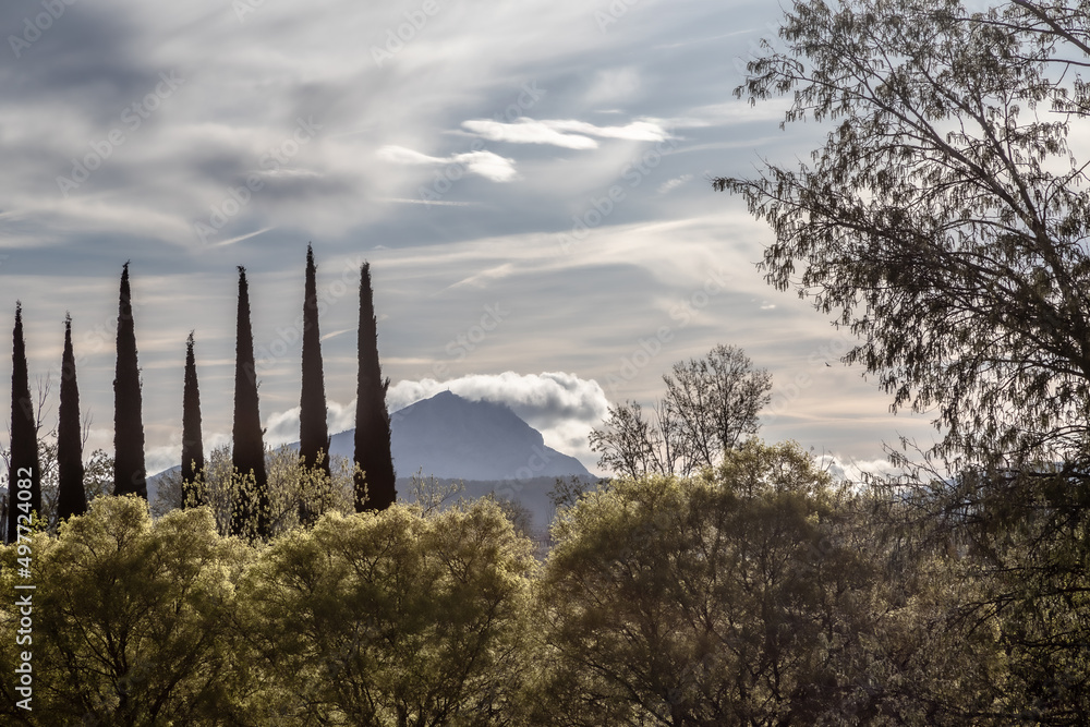 Obraz premium the Sainte Victoire mountain in the light of a spring morning