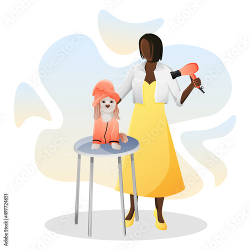 Girl groomer dries the dog cavalier king charles spaniel with a hair dryer. 
vector background for grooming salon