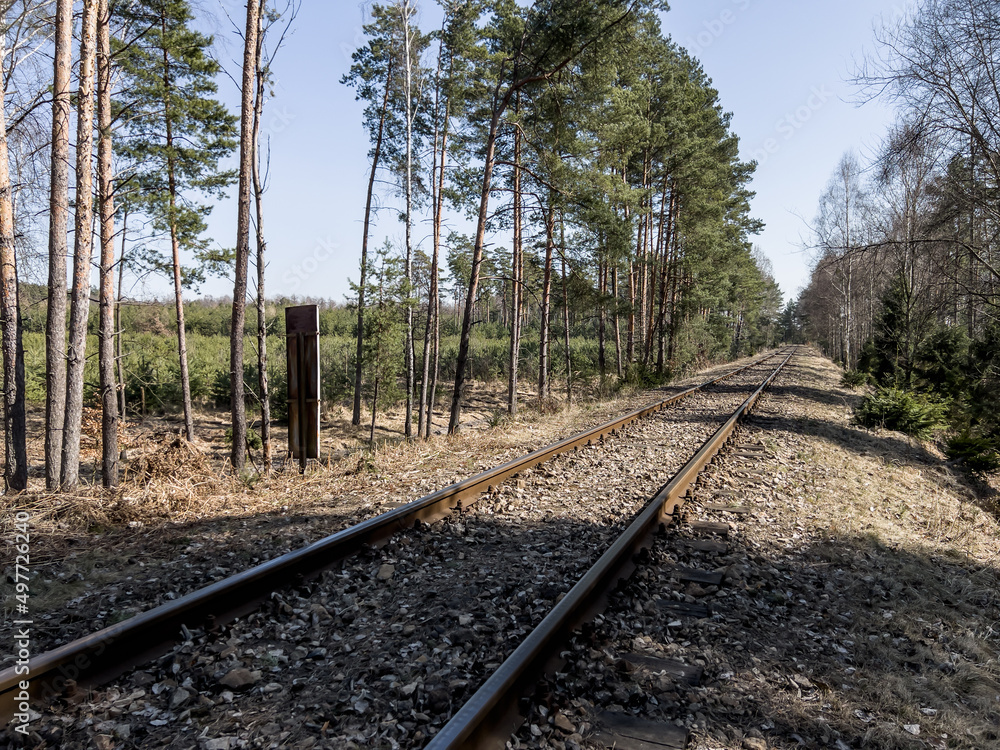 Fototapeta premium Railway track leading through the forest