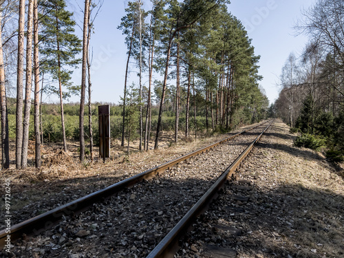 Railway track leading through the forest