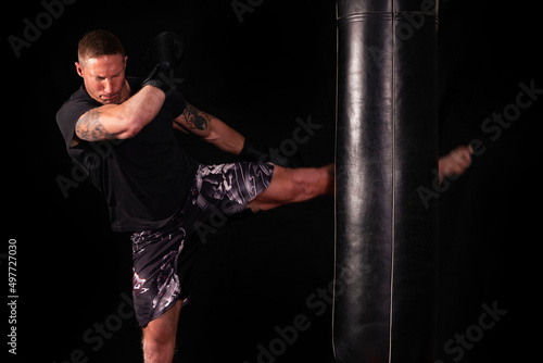 MMA Boxer training. gym training © fuchs mit foto
