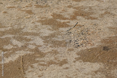 texture of the sand