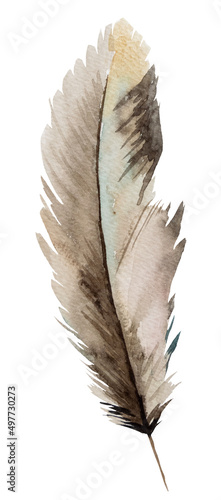 Watercolor brown and beige feather, Bohemian element illustration isolated