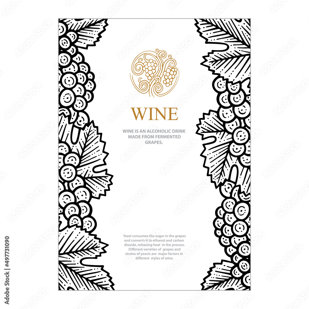 Grape and wine vintage style illustrations. Wine list design template