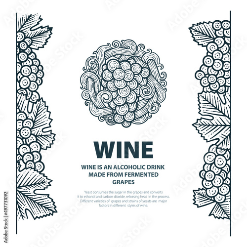Grape and wine vintage style illustrations. Wine list design template. Wine theme cover design for brochures, posters, promotion banners, menus, book, magazine, booklet, flyer. Part of set.