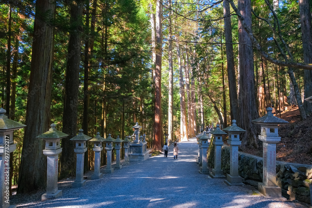 埼玉県秩父市 三峯神社 参道 埼玉県秩父市 三峯神社 参道
