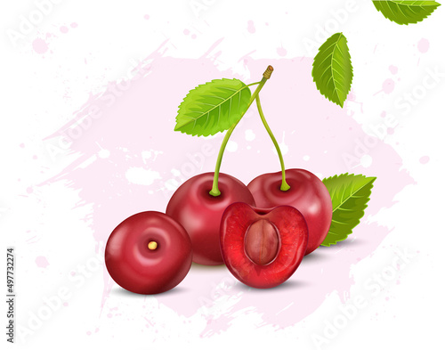 Cherries fruit vector illustration with green leaves 