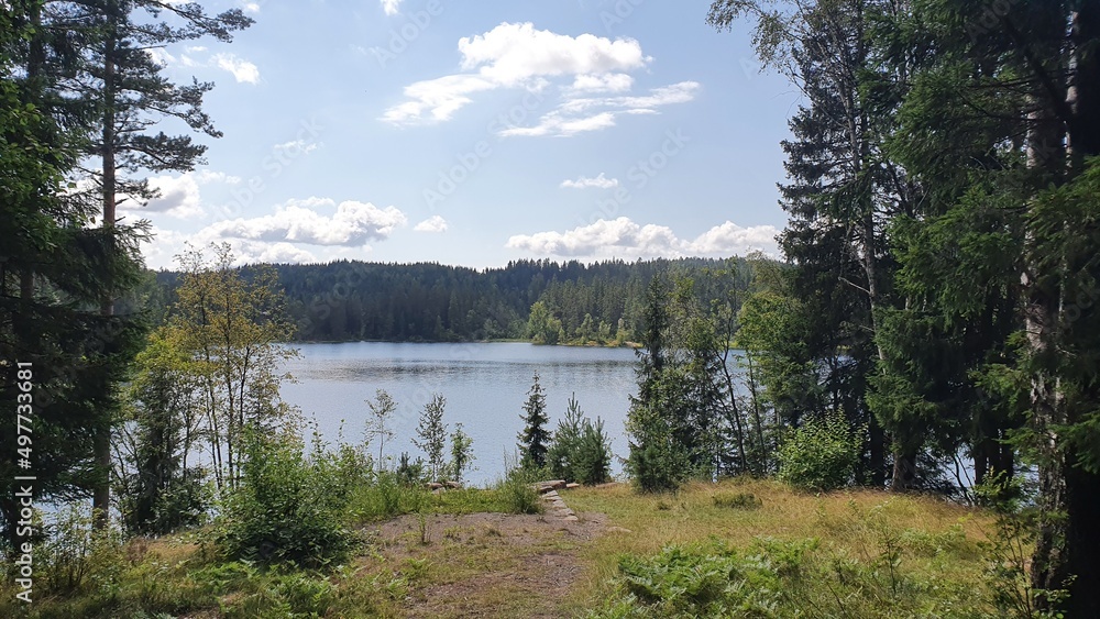Lake in the forest in a village of Norway Lake in the forest in a village of Norway