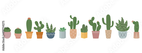 Cute cactus plant in pots.  Indoor plants in a flat style. Vector illustration set.