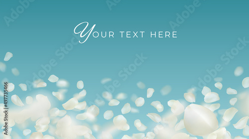 Flying realistic white rose petals on blue sky background. Vector editable template with place for your text. Volumetric falling blurred petal and copy space for wallpaper, banner. Blur effect.