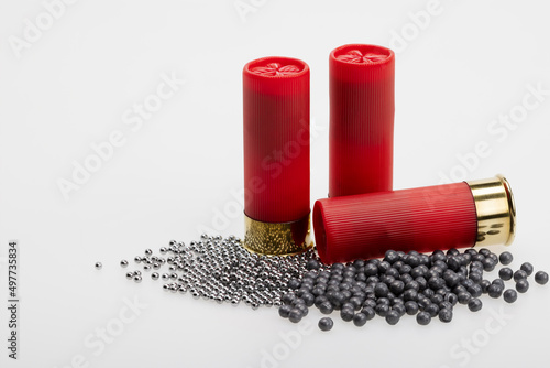 Difference size of birdshot inside the shotgun shell bullets , Gun shooting game photo