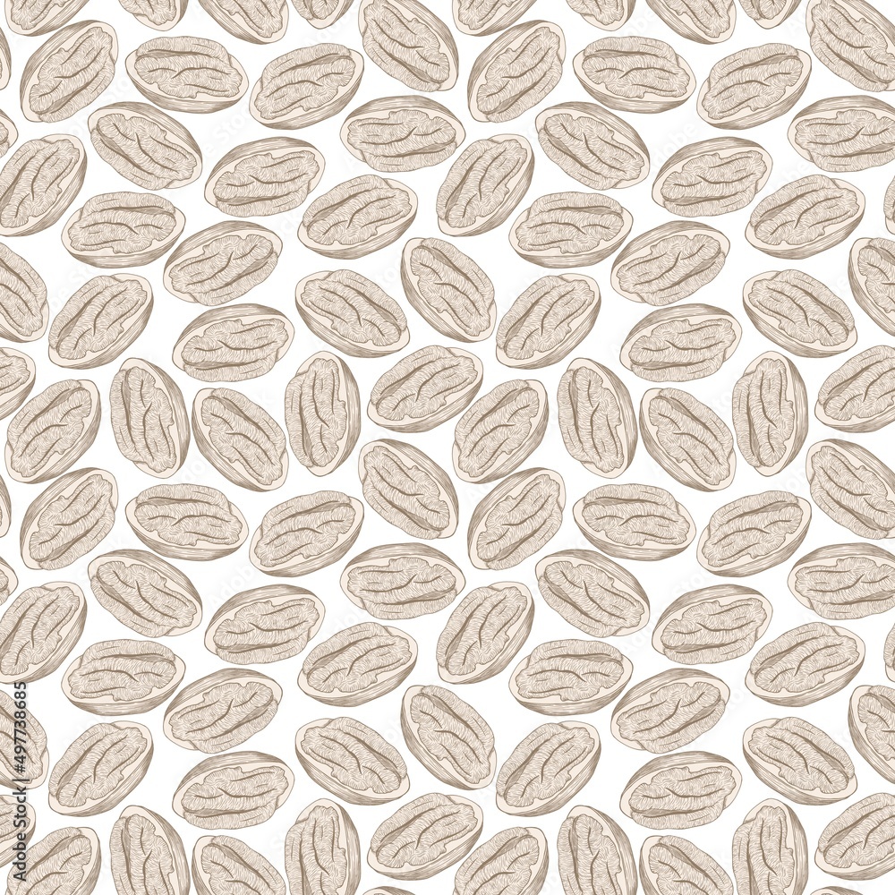 Seamless pattern with illustrations of pecan kernels on a white background Seamless pattern with illustrations of pecan kernels on a white background