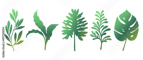 Set of green leaves silhouette of beautiful plants  leaves  plant design. Vector illustration 15. 