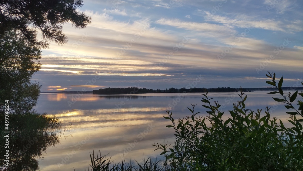 On a summer morning, the sun rises over the lake and illuminates the clouds. The sky and clouds are reflected in the calm water. Reeds grow in the water. Branches of trees lean over the water