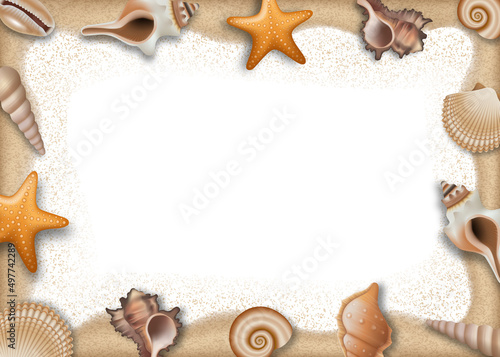 Summer frame with sand and shells