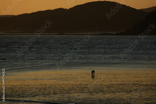 A person who picks up clams from afar on the tidal flat lit by the sunset