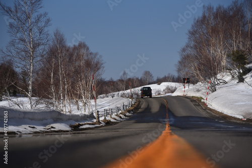 雪解けの道