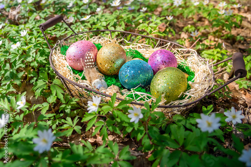 Easter background for spring holidays. Easter composition with colorful Easter eggs on moss in basket on lawn with spring flowers and grass