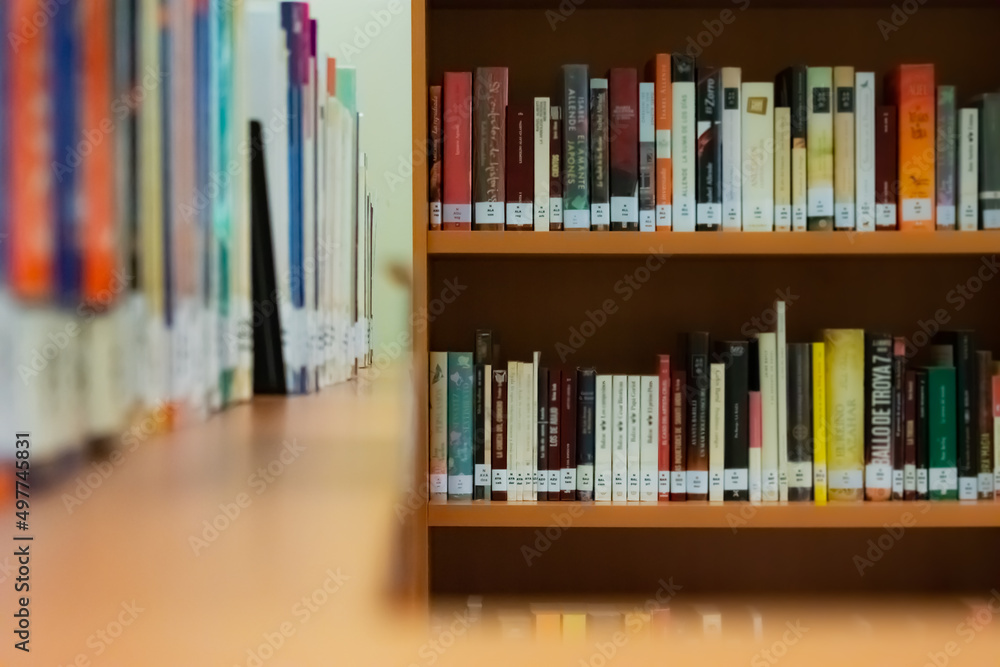 A library shelf with books arranged according to a classification system. The topographic signature is observed on the spine of the books. A library shelf with books arranged according to a classification system. The topographic signature is observed on the spine of the books.