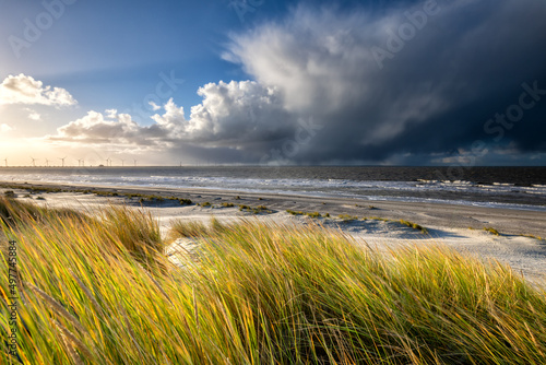 Beautiful view on sunny sea beach