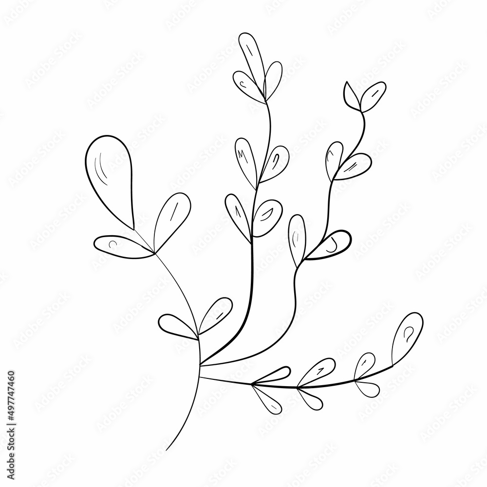 Cute doodle leaves set.Plant vector collection.Black line art on white background. Cute doodle leaves set.Plant vector collection.Black line art on white background.