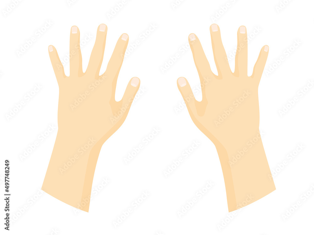 back of human hands - vector illustration back of human hands - vector illustration
