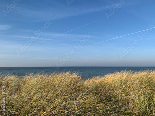 Landscape of the sea, grass and sky in shades of blue