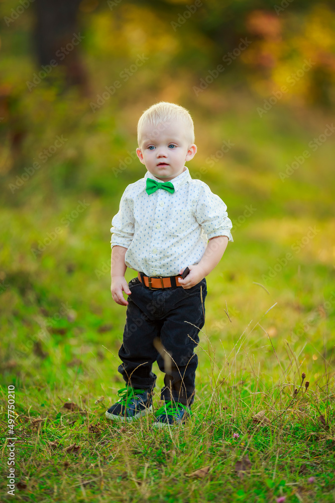 little boy in a white shirt and with a green bow tie walks in nature little boy in a white shirt and with a green bow tie walks in nature
