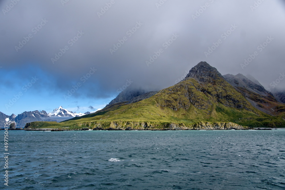 Peninsula covered in lush vegetation in front of snow covered mountains at Coopers Bay, South Georgia Island