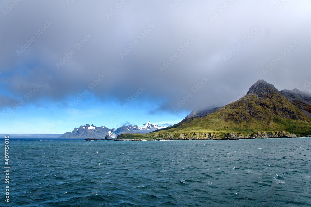 Peninsula covered in lush vegetation in front of snow covered mountains at Coopers Bay, South Georgia Island