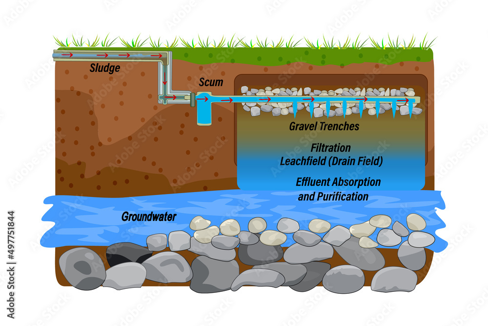 Drainfield diagram isolated on white background. Effluent absorption