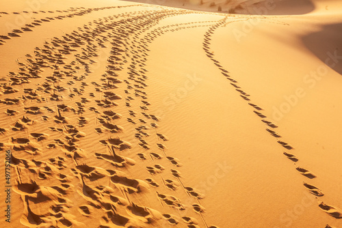 impronte umane lasciate in un aduna di sabbia nel deserto  photo