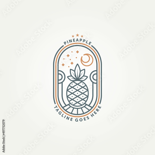 simple modern pineapple fruit line art badge logo template vector illustration design. minimalist pineapple fruit with night sky view geometric style emblem logo concept