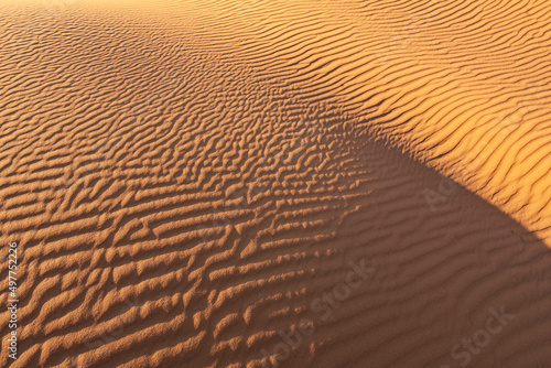 dettaglio delle onde create dal vento su una duna nel deserto 