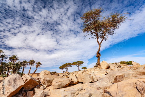 Paesaggio desertico in marocco con pochissima vegetazione  photo