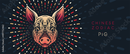 Chinese zodiac sign, pig horizontal banner. Vector illustration. Pig with abstract seamless pattern.