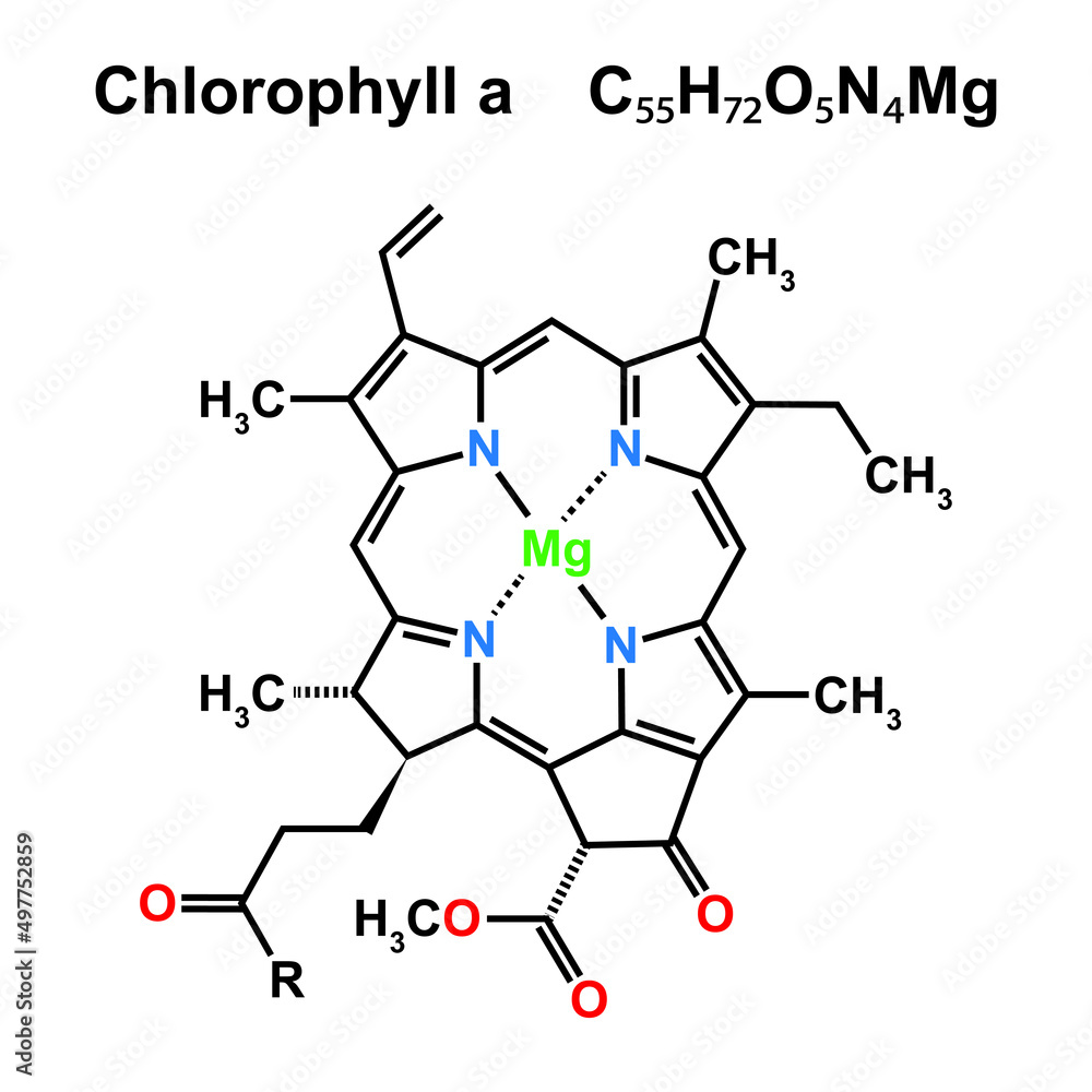 Chlorophyll a Chemical Structure. Vector Illustration.