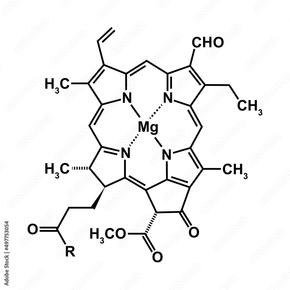 Chlorophyll b Chemical Structure. Vector Illustration. - obrazy, fototapety, plakaty 
