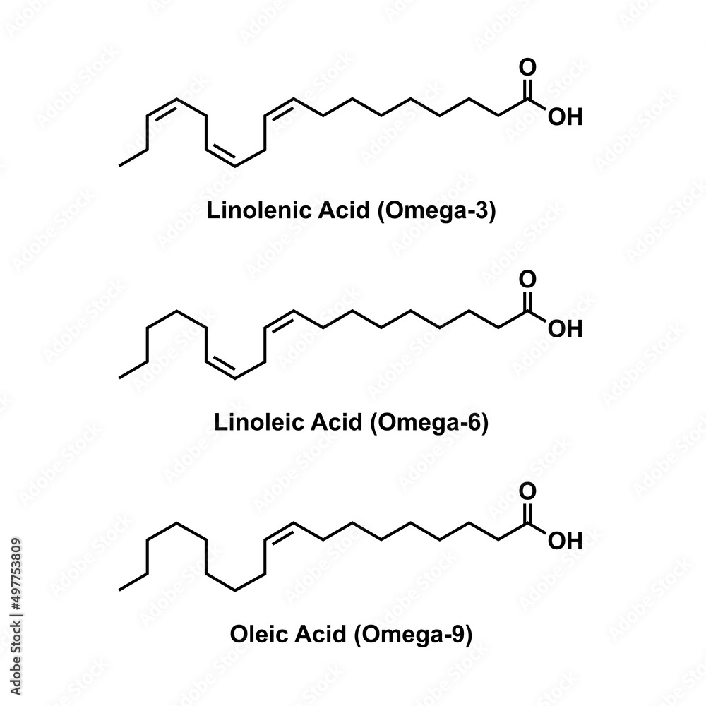 Chemical Structure Of Some Fatty Acids (Linolenic Acid, Linoleic Acid