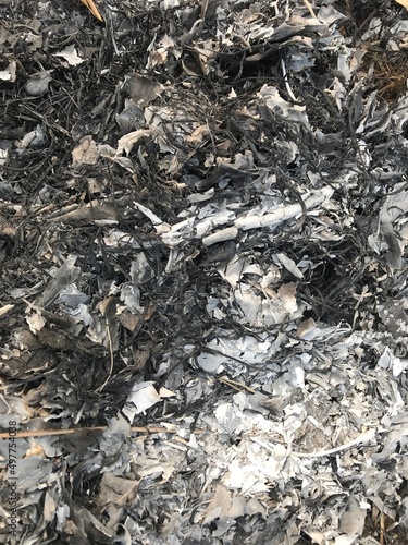 pile of firewood Textured image of burnt ashes, wood chips, black waste