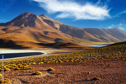 Scenic view on lonely dry arid valley with grass tufts in andes mountains , altiplanic miscanti brackish water lakes - Atacama desert, Chile photo