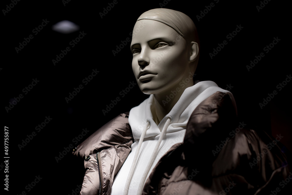 Mannequin clothes. Female figure. Girl's head is made of plastic. Style details. Mannequin clothes. Female figure. Girl's head is made of plastic. Style details.