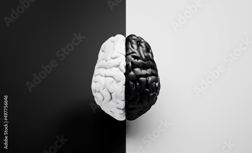 Fotografie Black and white human brain on black and white background with copy space - 3D i