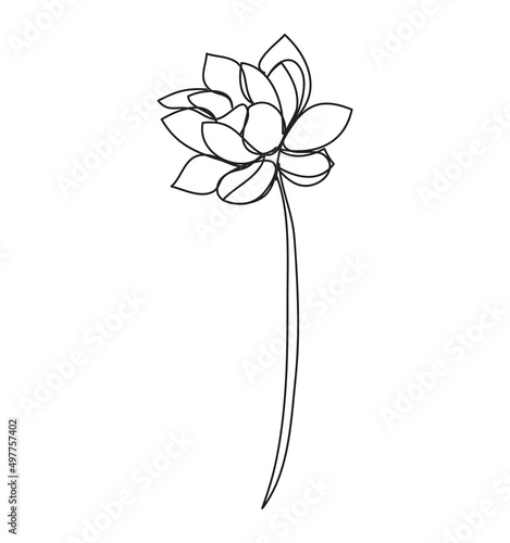 lotus flower on a white background , continuous line drawing, vector design